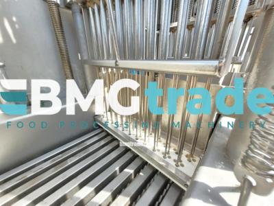 Inject-Star-BI-176-RP-10