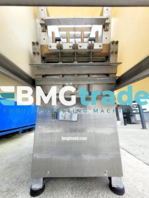 Magurit-frozen-block-guillotine-6