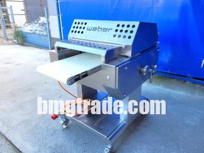 Weber-ASB-460-13