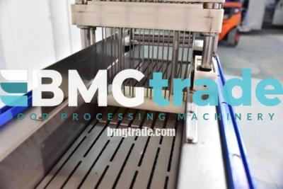 bmgtrade-brine-injector-schroder-19-wwwbmgtradecom-bmgtrade-brine-injector-schroder-19-wwwbmgtradecom-bmgtrade-10-copy-1-3
