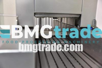bmgtrade-brine-injector-schroder-19-wwwbmgtradecom-bmgtrade-brine-injector-schroder-19-wwwbmgtradecom-bmgtrade-4-copy-1-3