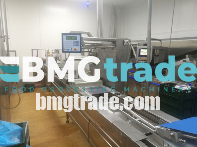 bmgtrade-r530-multivac-used-bmg-trade-4-1-2