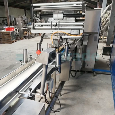 Packaing line CRYOVAC and ULMA Food Processing Machine
