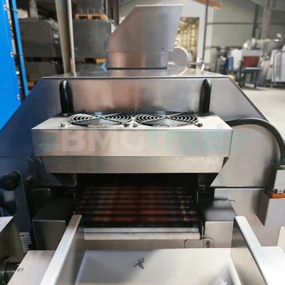 Packaing line CRYOVAC and ULMA Food Processing Machine