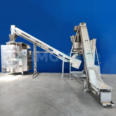 Multihead weigher Bilwinko with VFFS HASSIA packing machine