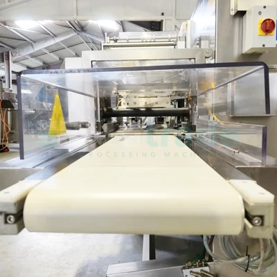 ILAPAC CARRERA 1000-40 Packing Machine Food Processing Machinery