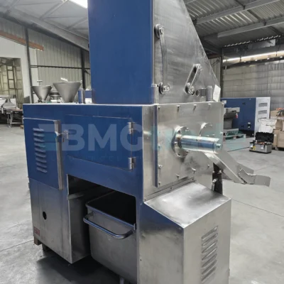 LASKA GFS 620 frozen machine cutter Food Processing Machine