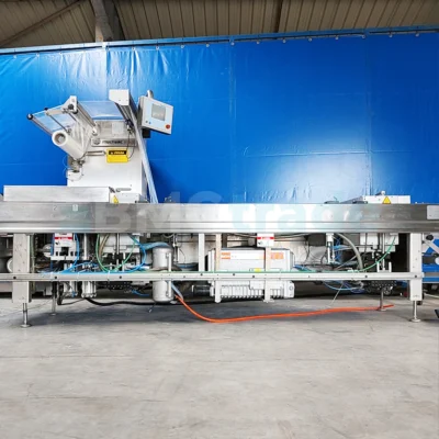 Multivac R-140 thermoformer Food Processing Machinery