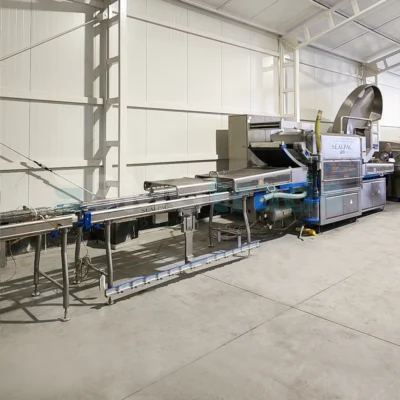 SEALPAC A10 traysealer (2018) Food Processing Machinery