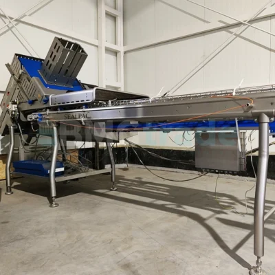 SEALPAC A10 traysealer (2018) Food Processing Machinery