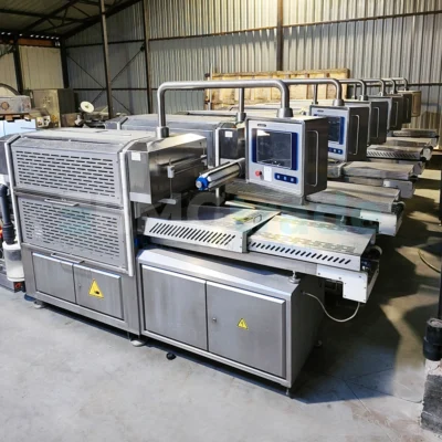 SEALPAC 800+ Packing Machine TVG 01 1120 01 2004r Food Processing Machinery