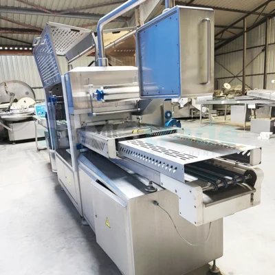 SEALPAC 800+ Packing Machine TVG 01 1120 01 2004r Food Processing Machinery