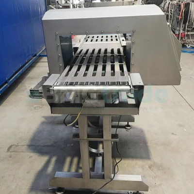 Weigher SCANVAEGT and metal detector Loma MD304