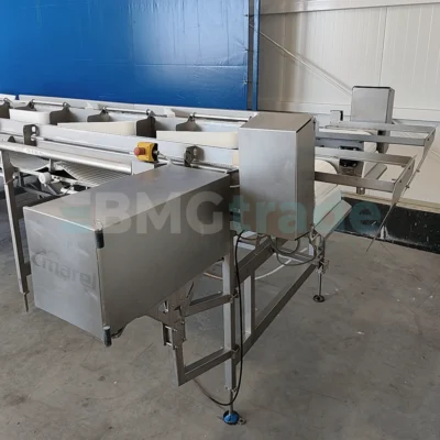 MAREL SmartLine Grader Dual Lane Weighing & Sorting